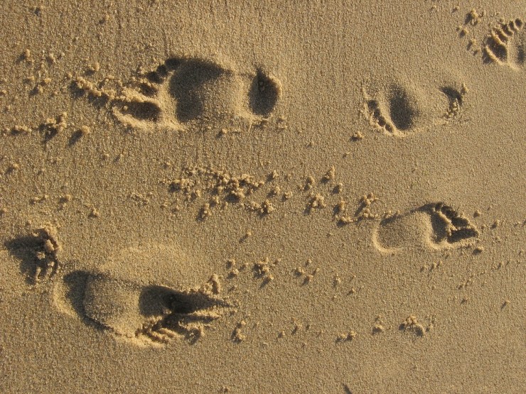 5039755572_630e061f47_b