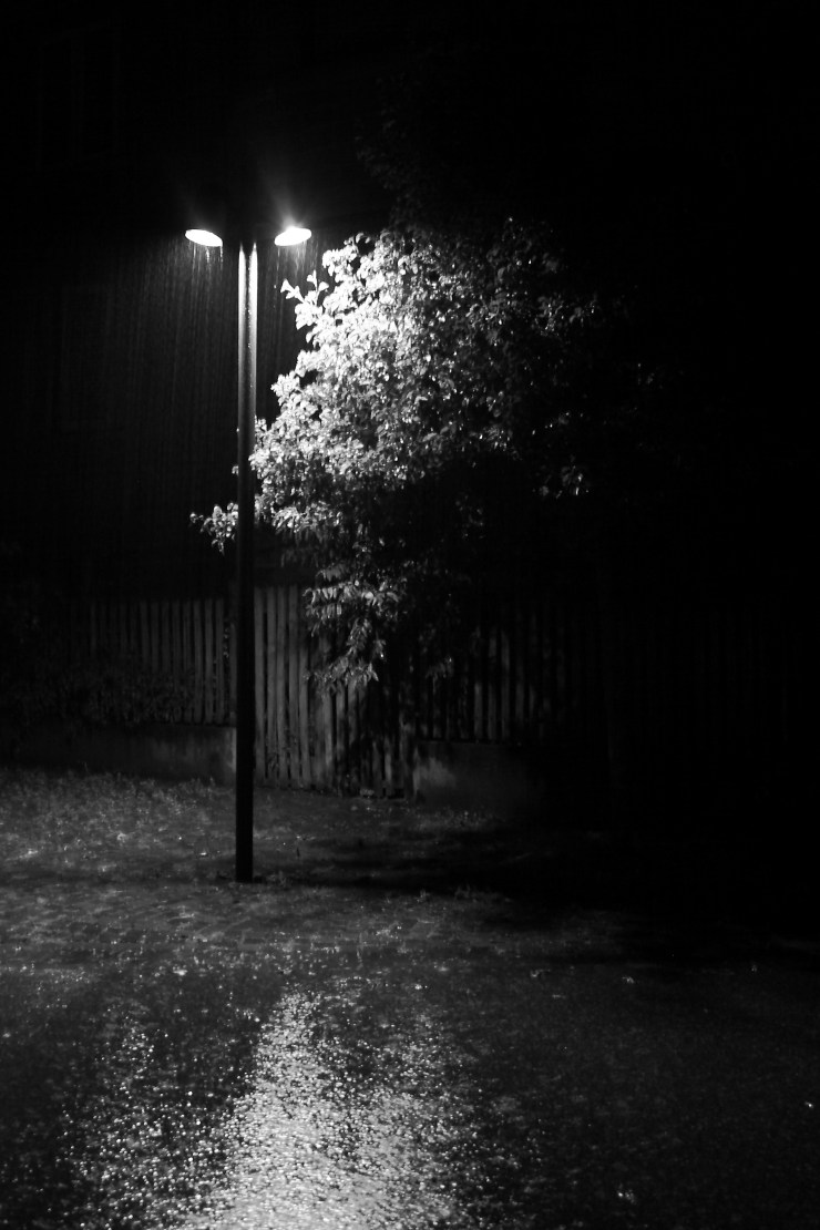 in_a_night_rain_by_dadaboum28-d5ctm8q