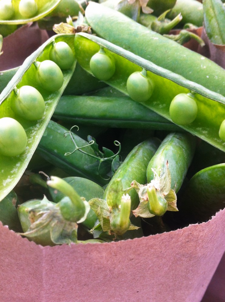 Farmers market English Peas