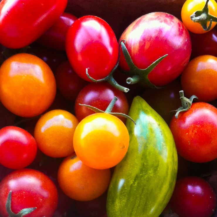 Farmers market tomatoes